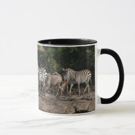 Zebra Herd in Natural Setting Black Interior Gift Tasse