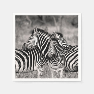 Zebra-Herden-Natur-Safari-Schwarzweiss-Streifen Serviette