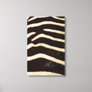 Zebra Hide Leinwanddruck