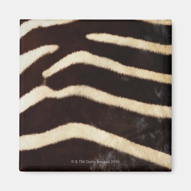 Zebra Hide Magnet (Vorne)