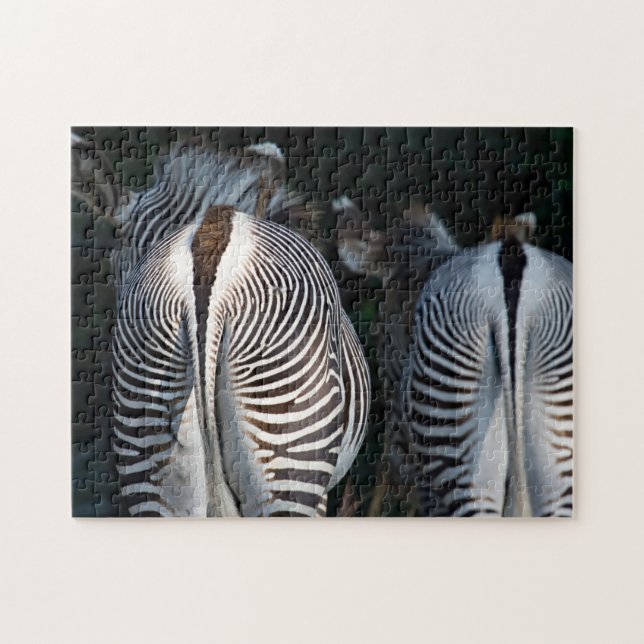 Zebra Hinterns (Horizontal)