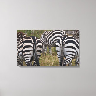 Zebra Hinterns Leinwand Print