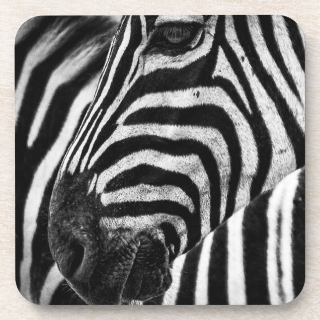 Zebra Illusion Getränkeuntersetzer (Vorderseite)