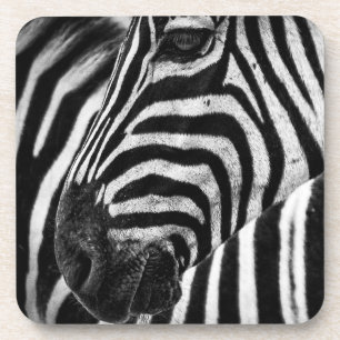 Zebra Illusion Getränkeuntersetzer