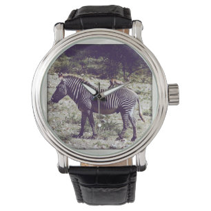 Zebra in Kenia Armbanduhr