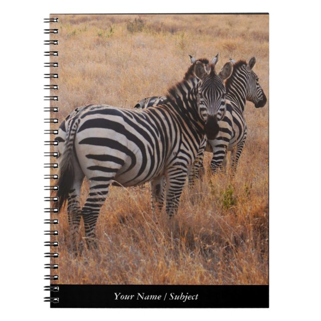 Zebra in Kenia Notizblock (Vorderseite)