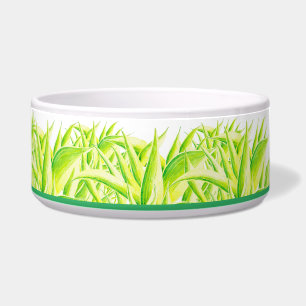 Zebra Iris auf einer Salatschüssel Napf