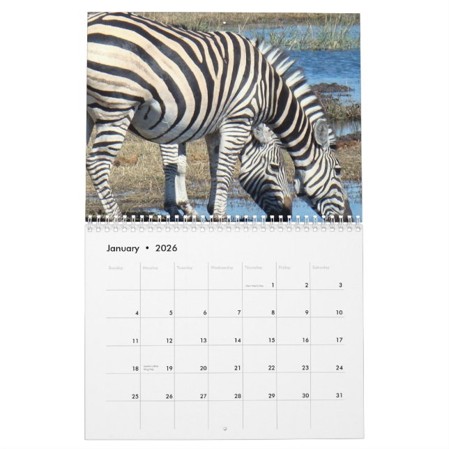 Zebra Kalender (Jan 2026)