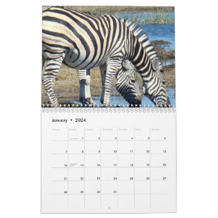 Zebra Kalender