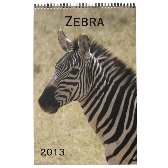 Zebra-Kalender 2013 Kalender (Titelbild)