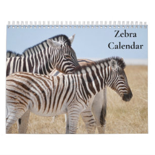 Zebra-Kalender 2027 Kalender
