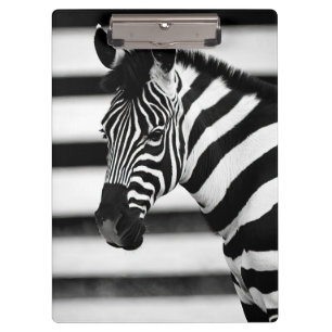 Zebra Klemmbrett