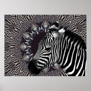 Zebra-Kunst-Plakat Poster