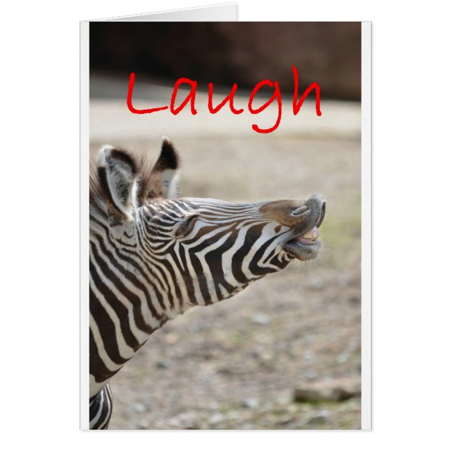 zebra lachen (Vorne)