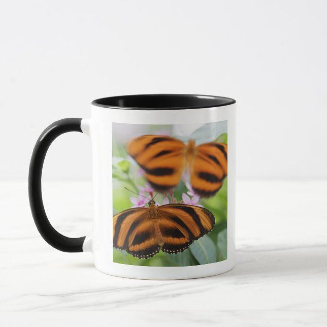 Zebra-langer Flügel-Schmetterling 2 Tasse (Links)