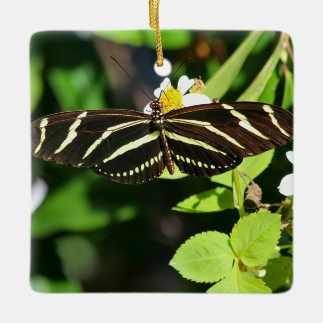 Zebra-Langflügel-Schmetterling Keramikornament (Vorderseite)
