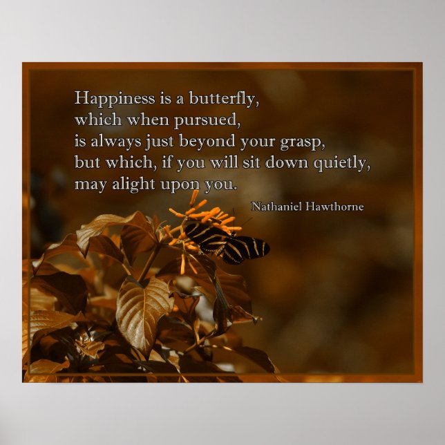 Zebra-Langschmetterling auf Blume Poster (Vorne)