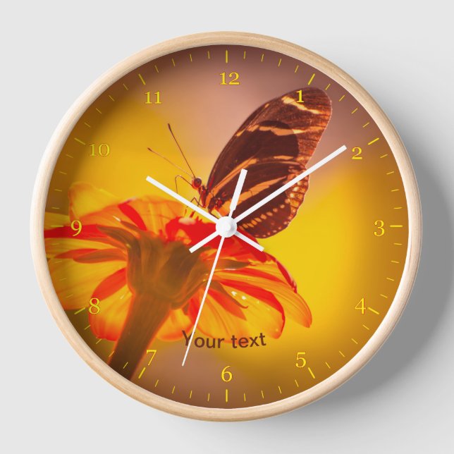 Zebra-Langschmetterling auf der Blume Tithonia Uhr (Vorderseite)