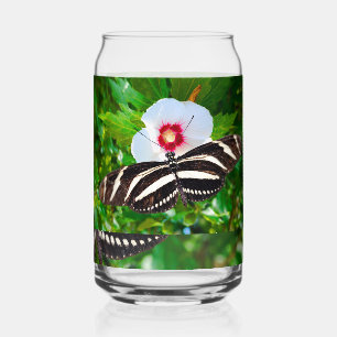 Zebra-Langschmetterling auf einem Hibiskus Rot Dosenglas