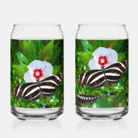 Zebra-Langschmetterling auf einem Hibiskus Rot