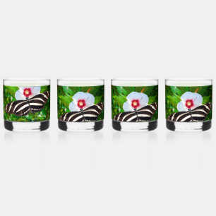 Zebra-Langschwanz-Schmetterling auf einem Hibiskus Whiskyglas