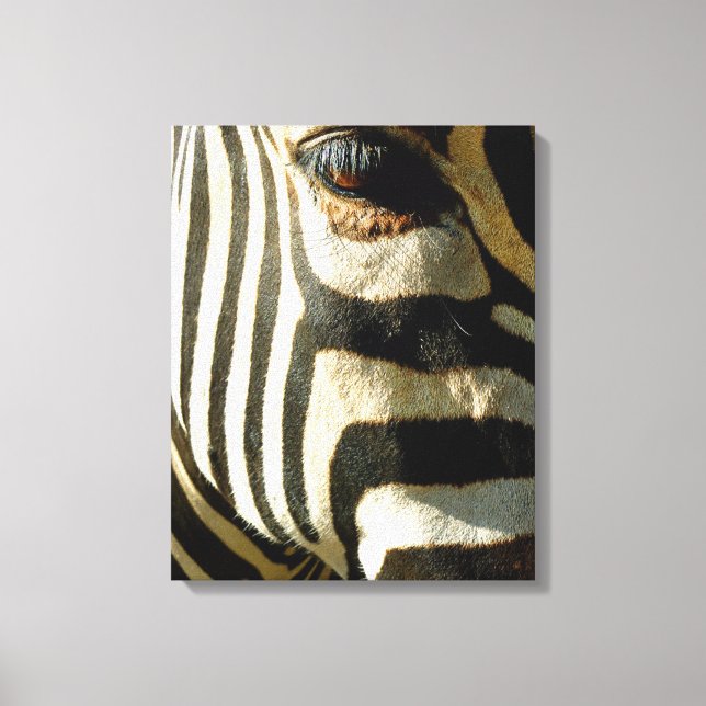 Zebra Leinwanddruck (Vorderseite)