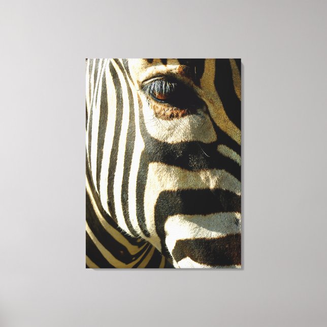 Zebra Leinwanddruck (Vorderseite)