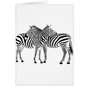 Zebra-Liebe
