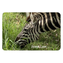 Zebra-Liebe...Magnet