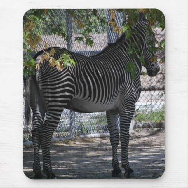 Zebra-Liebe Mousepad (Vorne)