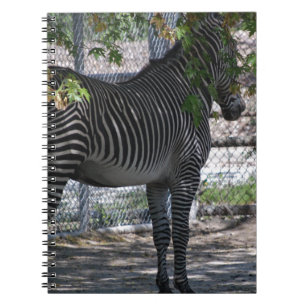 Zebra-Liebe Notizblock