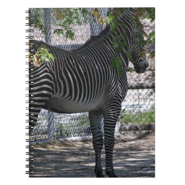 Zebra-Liebe Notizblock (Vorderseite)