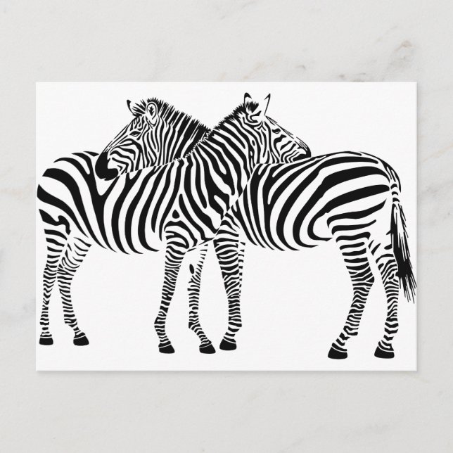 Zebra-Liebe Postkarte (Vorderseite)