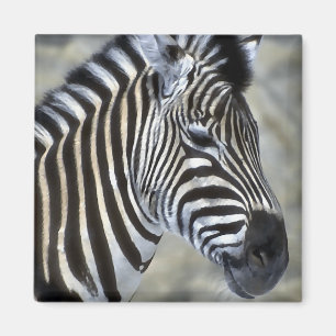 Zebra-Liebhaber-Kunst-Geschenke Magnet