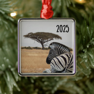 Zebra liegt hinunter, Kenia Landschaft, Acacia Tre Ornament Aus Metall