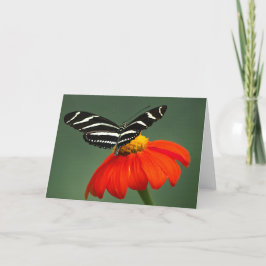 Zebra Longwing Butterfly Blank Grußkarte Dankeskarte