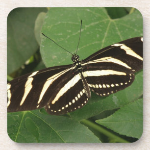 Zebra Longwing Butterfly Cork Untersetzer