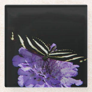Zebra Longwing Butterfly Glasuntersetzer