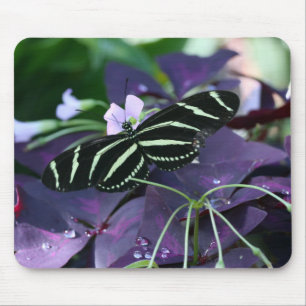 Zebra Longwing Butterfly Mousepad