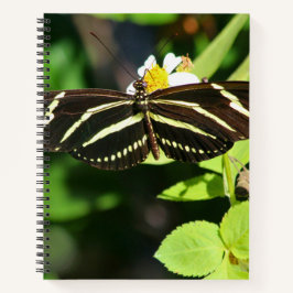 Zebra Longwing Schmetterling Spiralnotizbuch Notizbuch