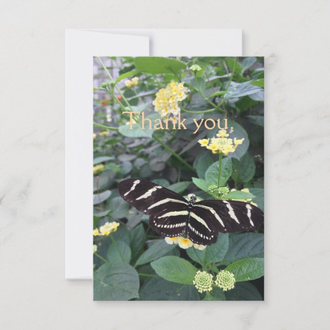 Zebra Longwing Thank You Card Dankeskarte (Vorderseite)
