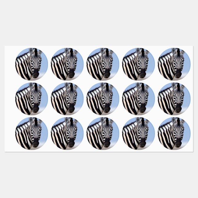 Zebra looking at you etiketten (Blatt)