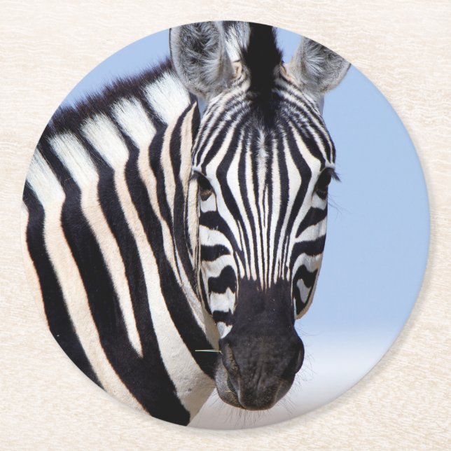 Zebra looking at you runder pappuntersetzer (Vorderseite)