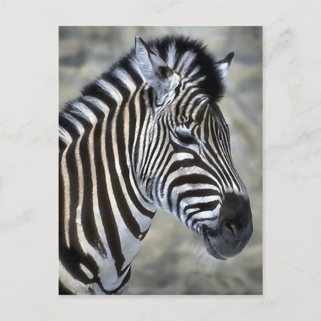 Zebra Lovers Kunstgeschenke Postkarte (Vorderseite)