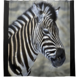 Zebra Lovers Kunstmuseum Duschvorhang
