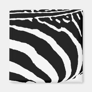 Zebra Magnet