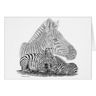 Zebra Mare et le crayon de poulain Dessin de Kelli