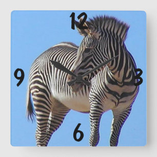 Zebra-Mauer-Uhr Quadratische Wanduhr