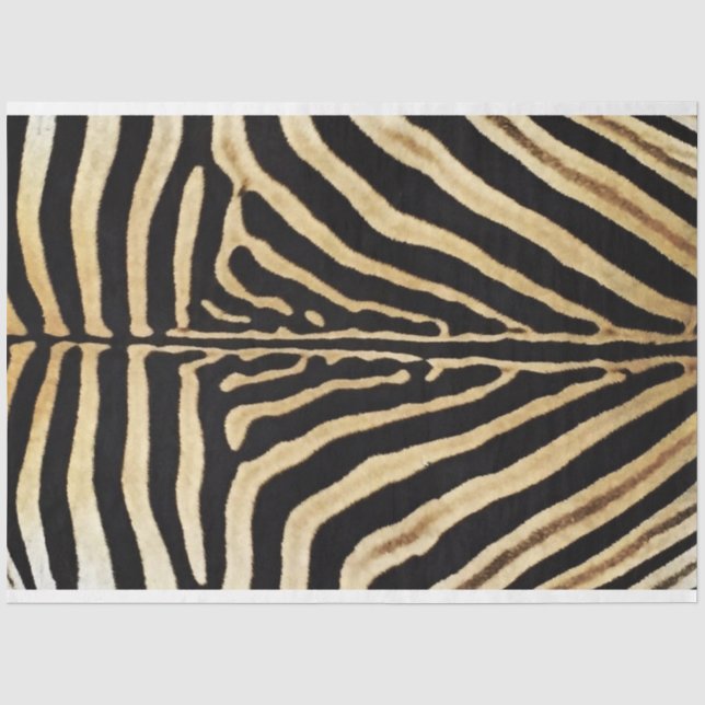 Zebra Möbelbeschriftung Seidenpapier (Vorderseite)
