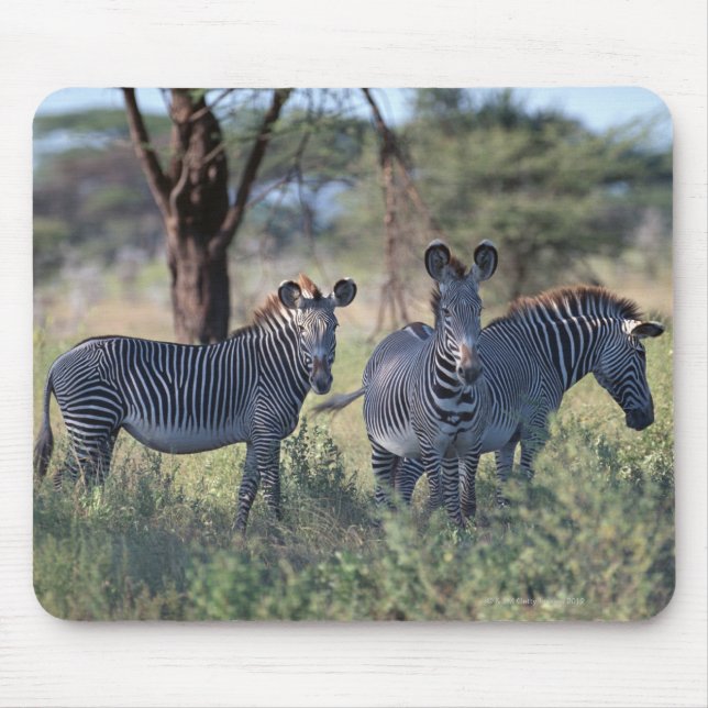 Zebra Mousepad (Vorne)